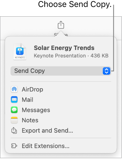 The Share menu with Send Copy selected at the top.