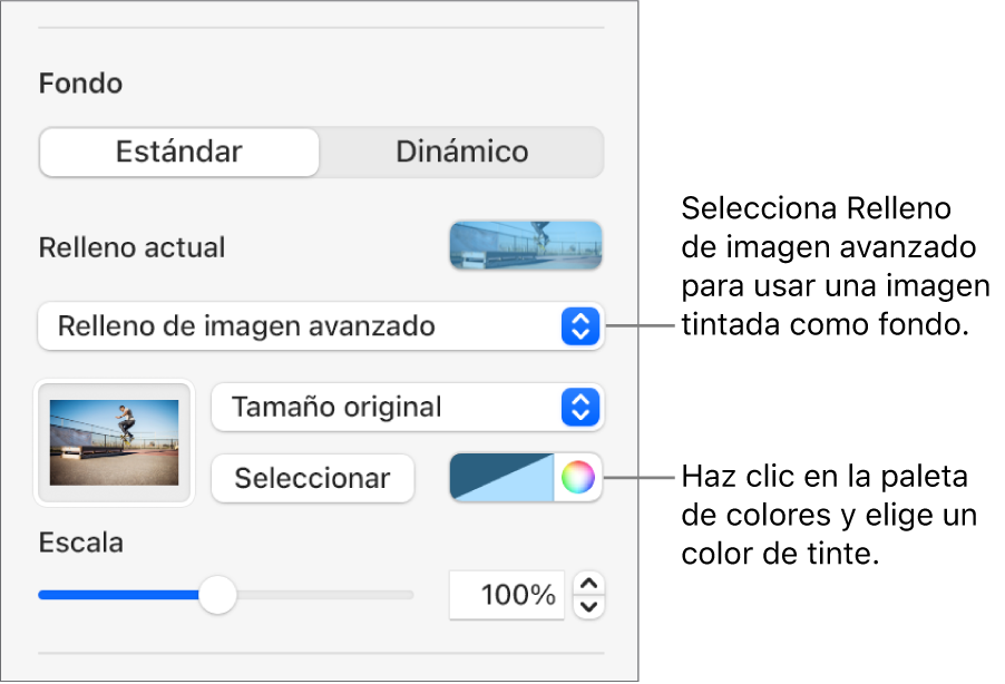 Los controles Fondo con un relleno de imagen avanzado tintado establecido como fondo de la diapositiva.