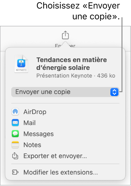 Le menu Partager avec l’option Envoyer une copie sélectionnée en haut.