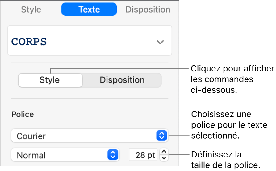 Commandes de texte de la section Style, dans la barre latérale de configuration de la police et de la taille des caractères.