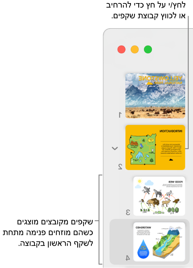 נווט השקפים מציג שקפים מוזחים.