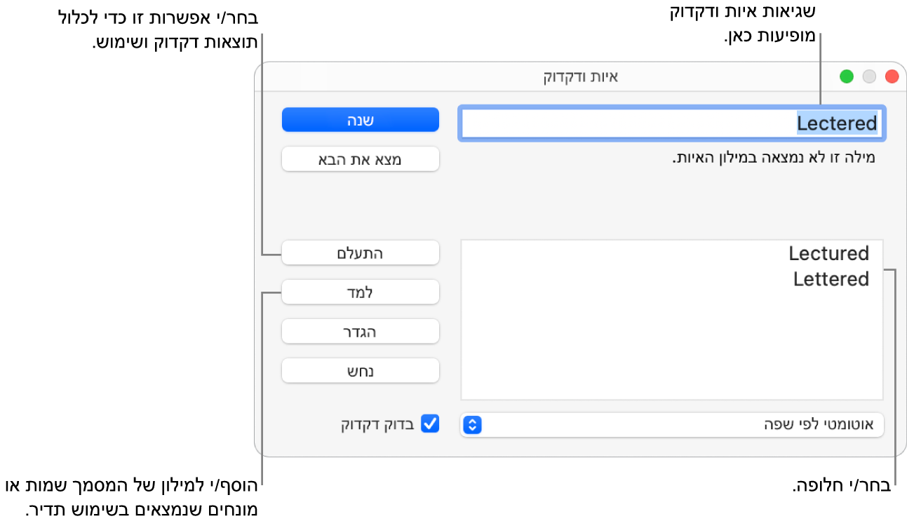 החלון ״איות ודקדוק״.