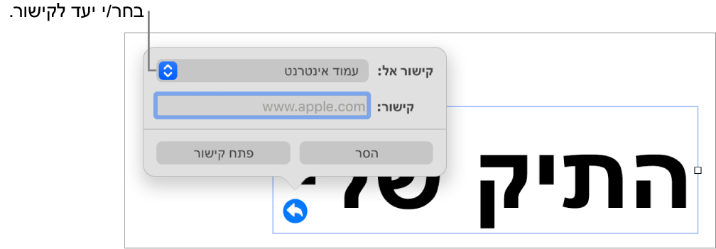 כלי הבקרה של עורך הקישורים כאשר האפשרות ״עמוד אינטרנט״ נבחרת ובחלק התחתון מוצגים הכפתורים ״הסר״ ו״פתח קישור״.