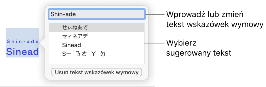 Wskazówki wymowy dla danego wyrazu. Etykiety wskazują pole tekstowe i sugerowany tekst.