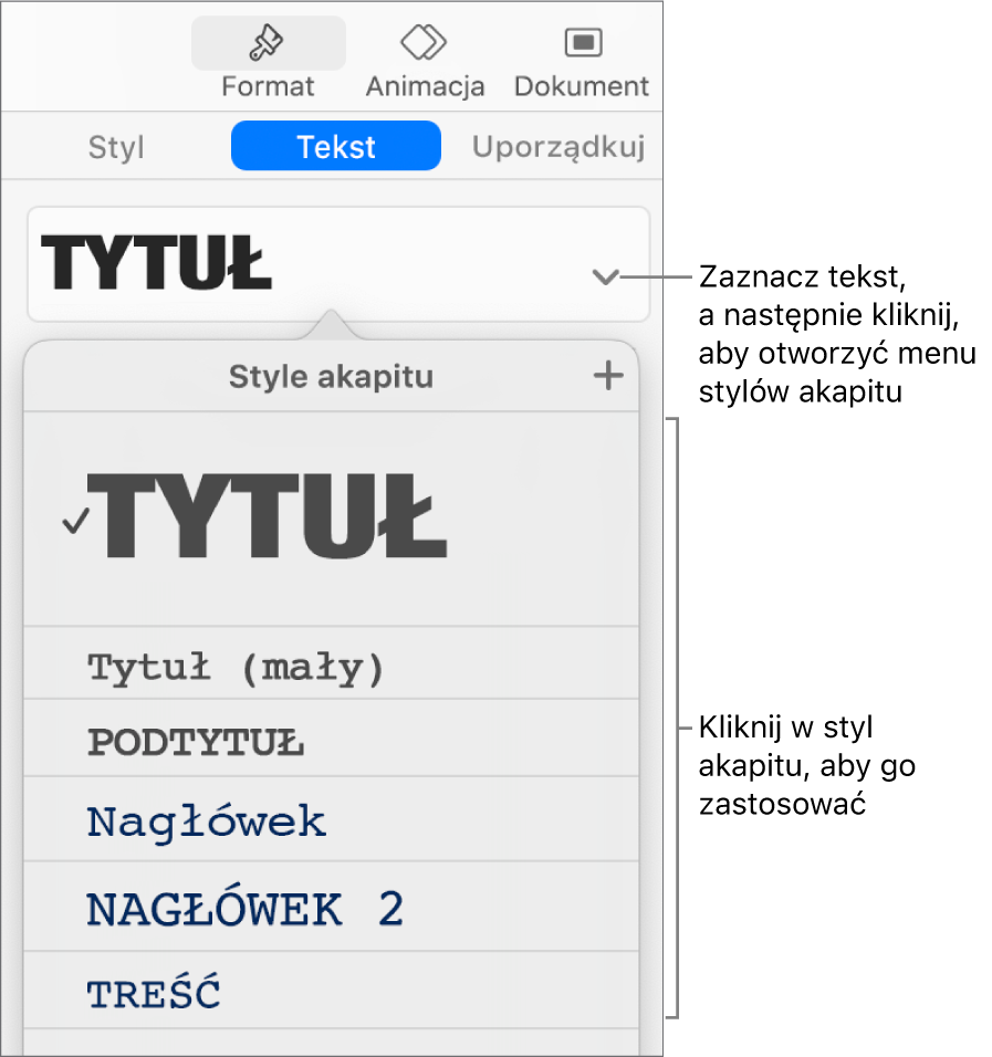 Menu Style akapitu z ikoną zaznaczenia obok zaznaczonego stylu.