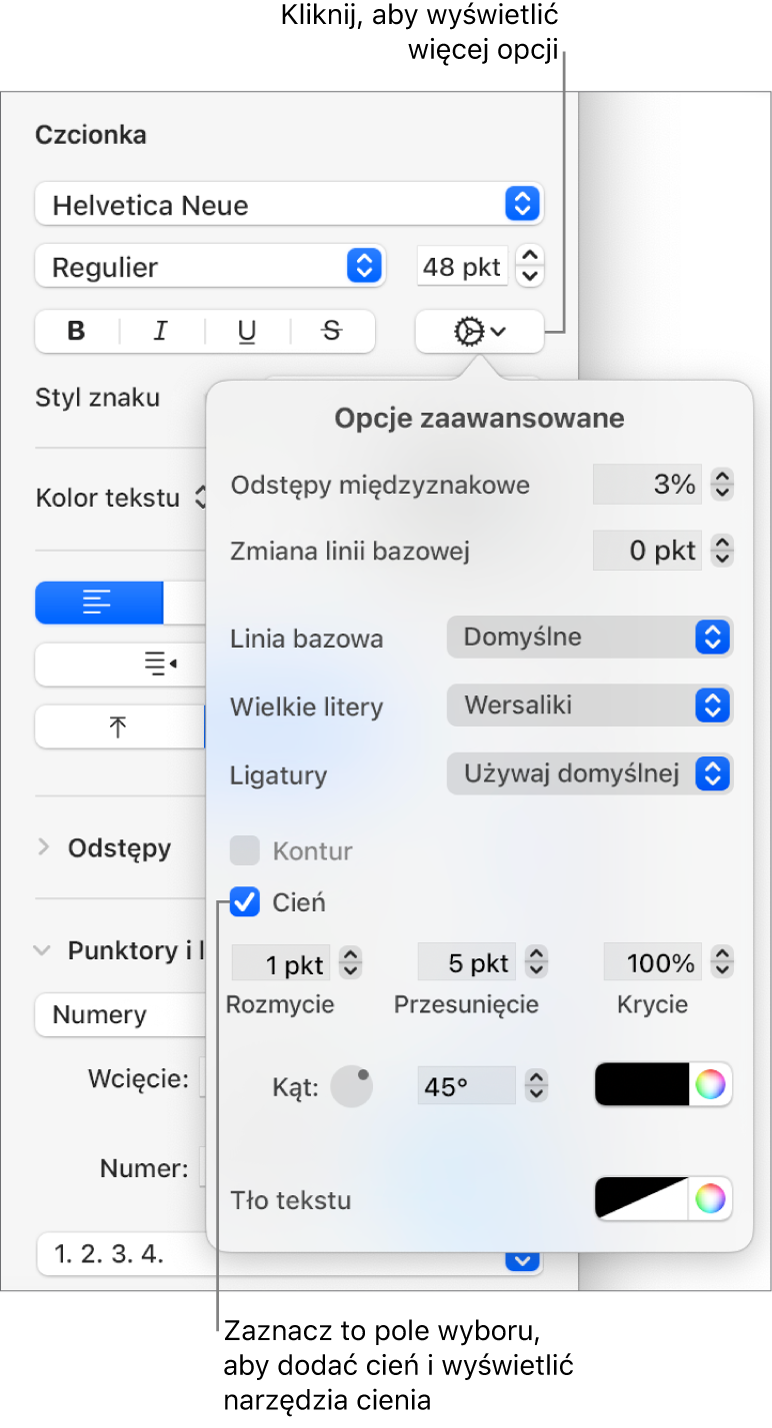 Opcje zaawansowane z zaznaczonym polem wyboru Cień i narzędziami do ustawiania rozmycia, przesunięcia, krycia, kąta oraz koloru.