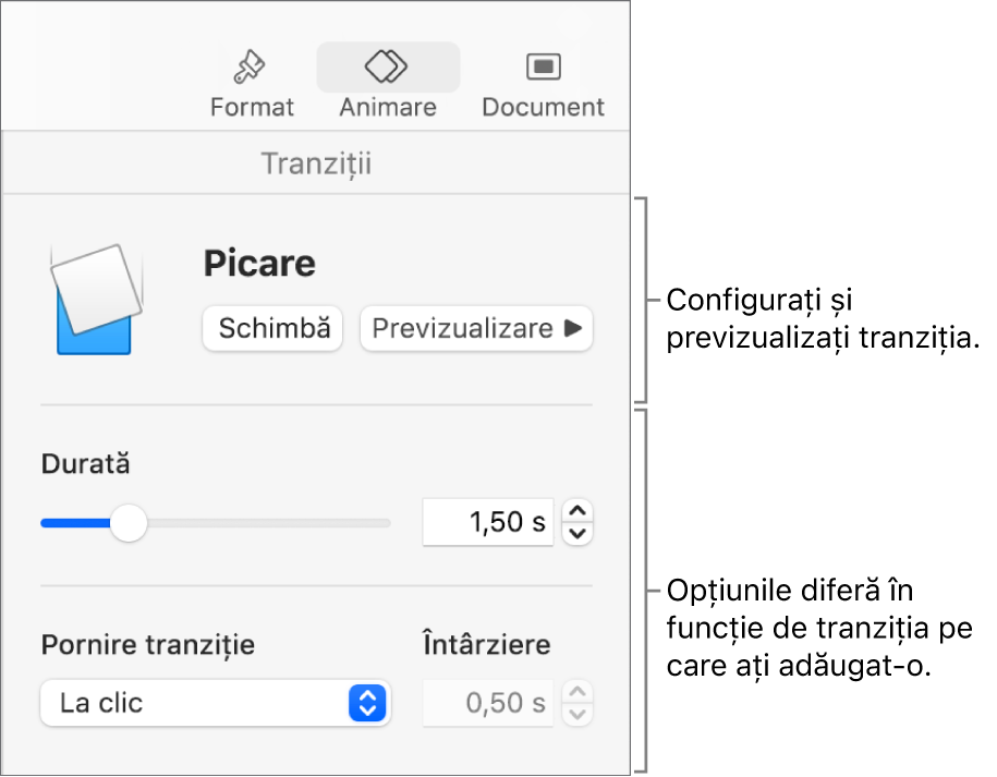 Comenzile pentru tranziții în secțiunea Tranziții din bara laterală.