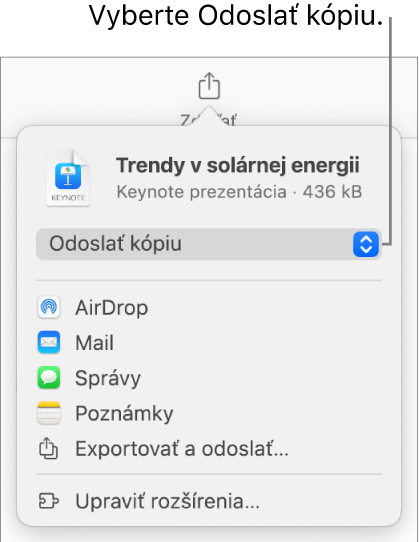 Menu Zdieľať s vybranou možnosťou Odoslať kópiu vo vrchnej časti.