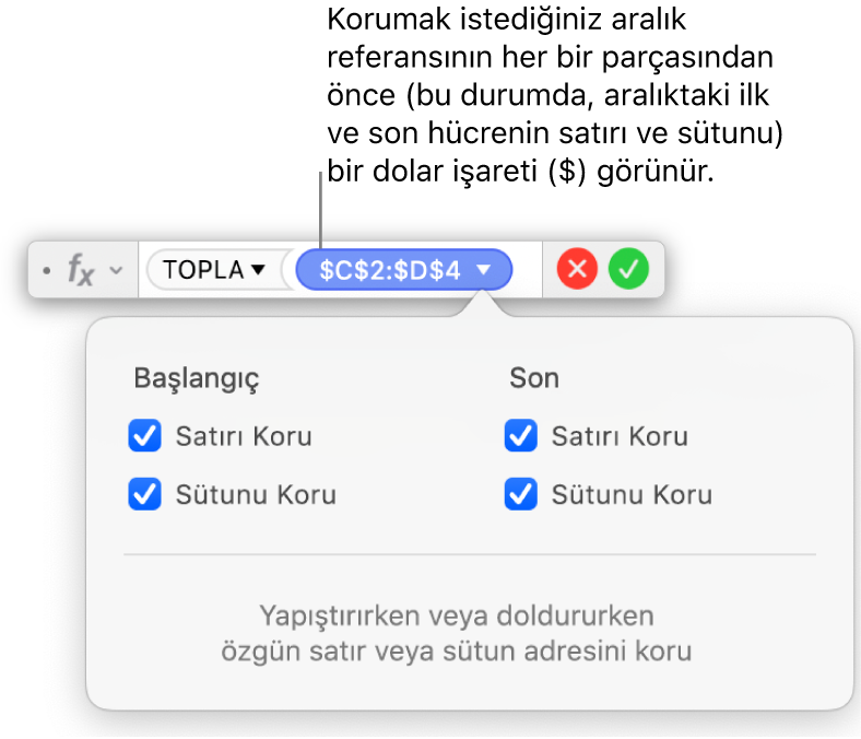 Formül Düzenleyici, belirli bir aralık için seçilen Satırı Koru ve Sütunu Koru seçeneklerini gösteriyor.