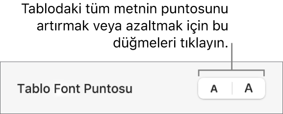 Tablonun font puntosunu değiştirmeye yönelik kenar çubuğu denetimleri.