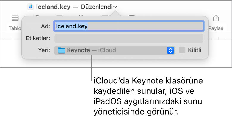 Yer açılır menüsünde Keynote—iCloud olan bir sunu için Kaydet sorgu kutusu.