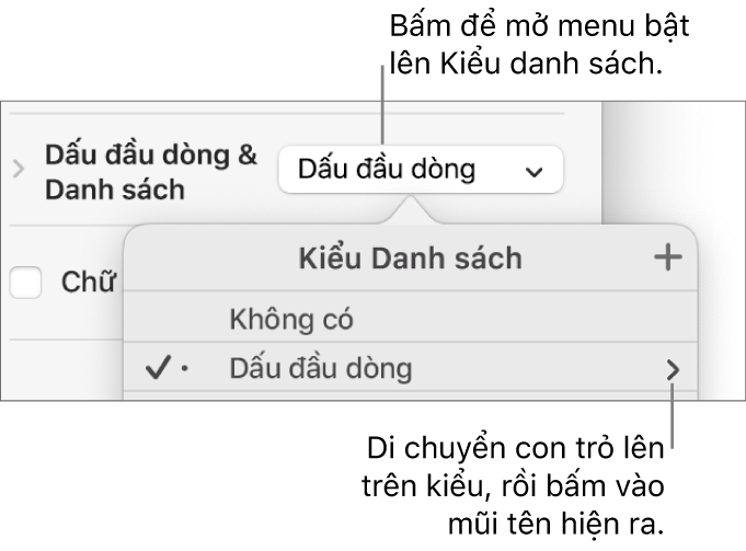 Menu bật lên Kiểu danh sách với một kiểu được chọn và một mũi tên ở phía xa bên phải.