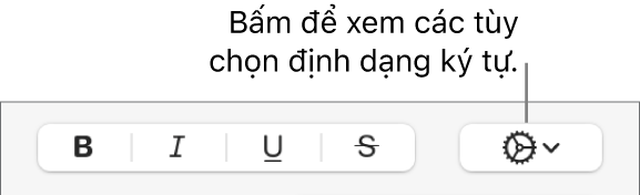 Nút Tùy chọn nâng cao bên cạnh các nút Đậm, Nghiêng và Gạch chân.