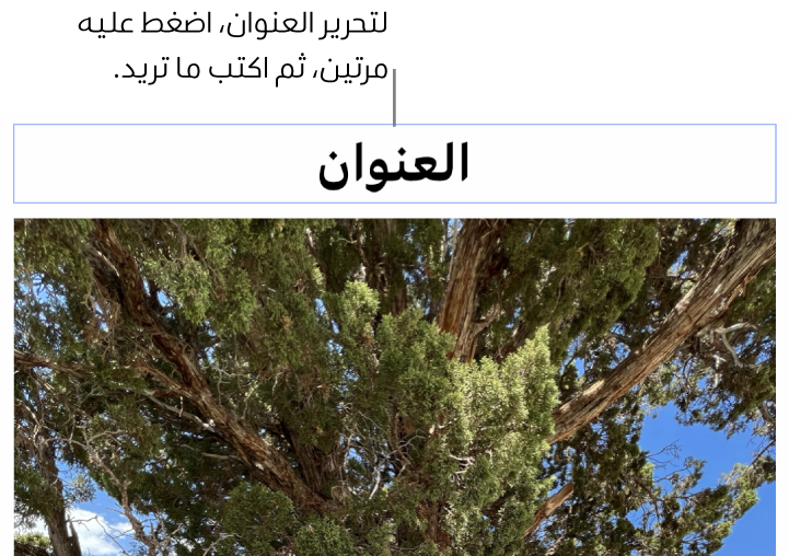 يظهر عنوان العنصر النائب، "العنوان"، أسفل صورة؛ يوضح تخطيط أزرق حول حقل العنوان أنه محدد.