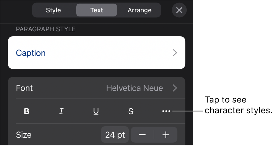 The Format controls with paragraph styles at the top, then Font controls. Below Font are the Bold, Italic, Underline, Strikethrough, and More Text Options buttons.