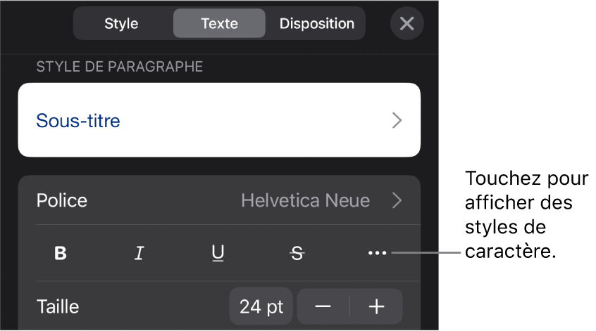 Les commandes de mise en forme avec les styles de paragraphe en haut, suivis des commandes de police. En dessous de Police se trouvent les boutons Gras, Italique, Souligné, Barré et « Plus d’options de texte ».