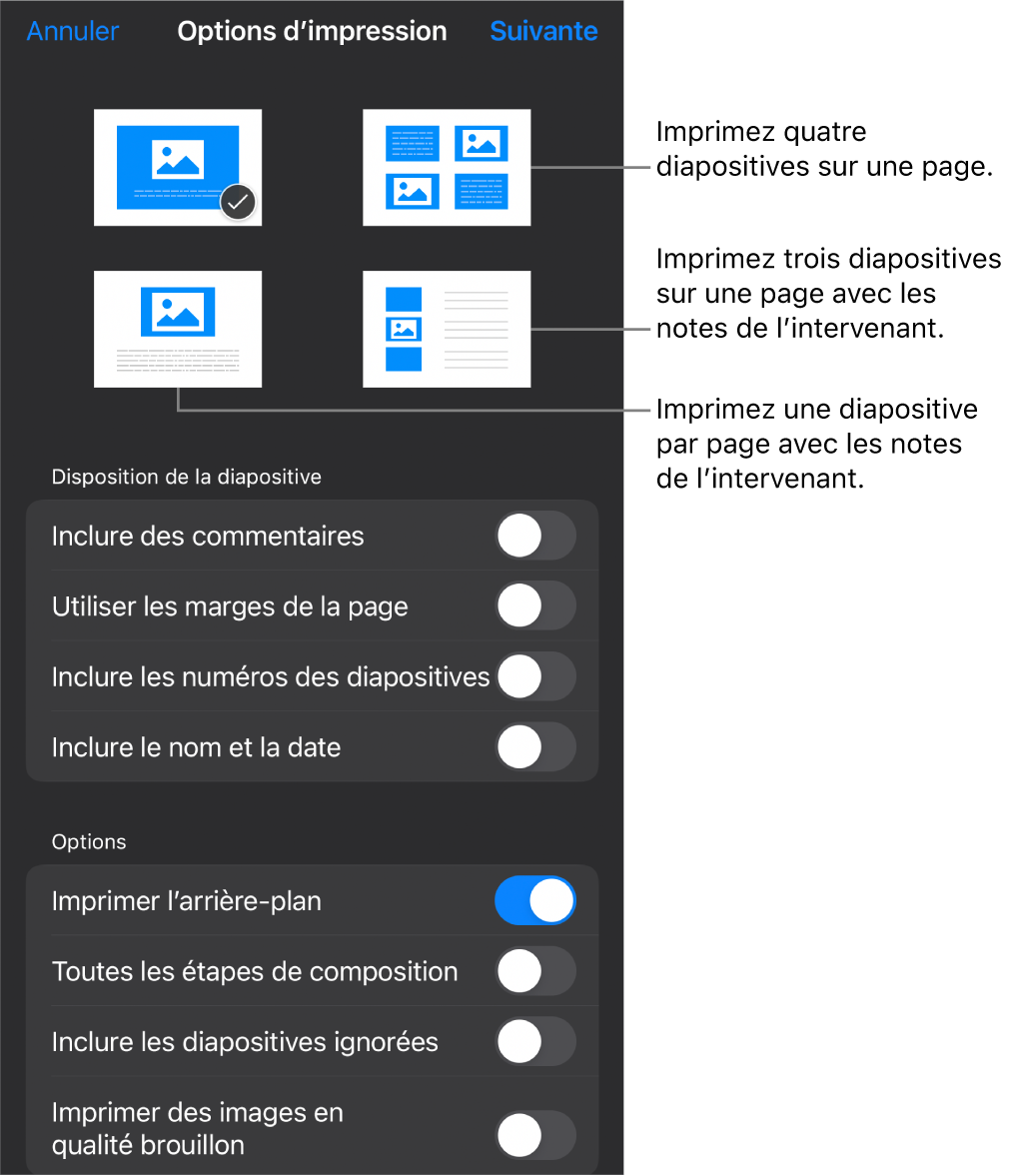 Options de disposition d’impression.