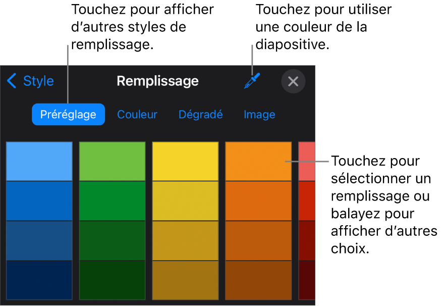 Options de remplissage dans l’onglet Style.