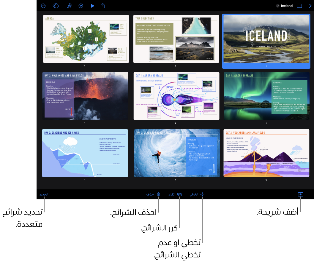 عرض الطاولة الضوئية يعرض أزرارًا في الجزء السفلي من الشاشة لإضافة الشرائح وتخطيها وتكرارها وحذفها ولتحديد عدة شرائح.