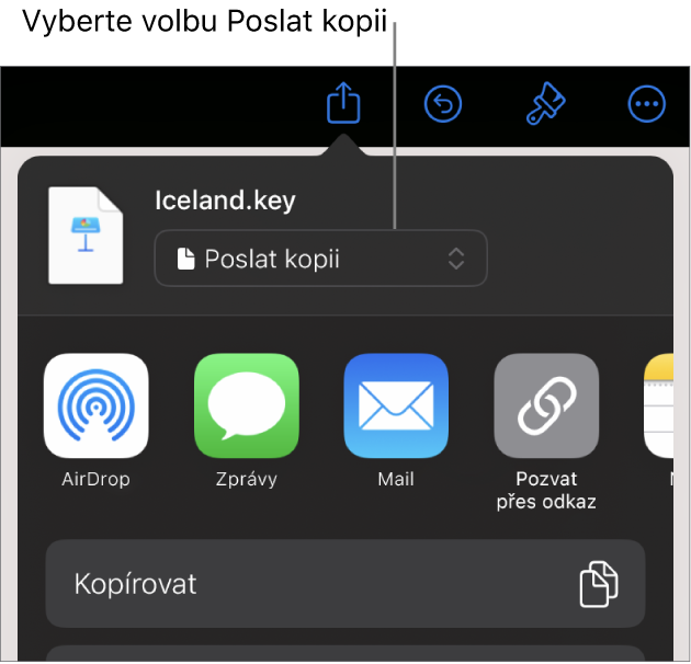 Nabídka sdílení, v níž je nahoře vybraná volba Poslat kopii