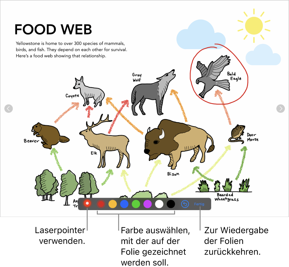 Eine Folie im Illustrationsmodus mit dem Laserpointer und Steuerelementen zur Auswahl der Farbe