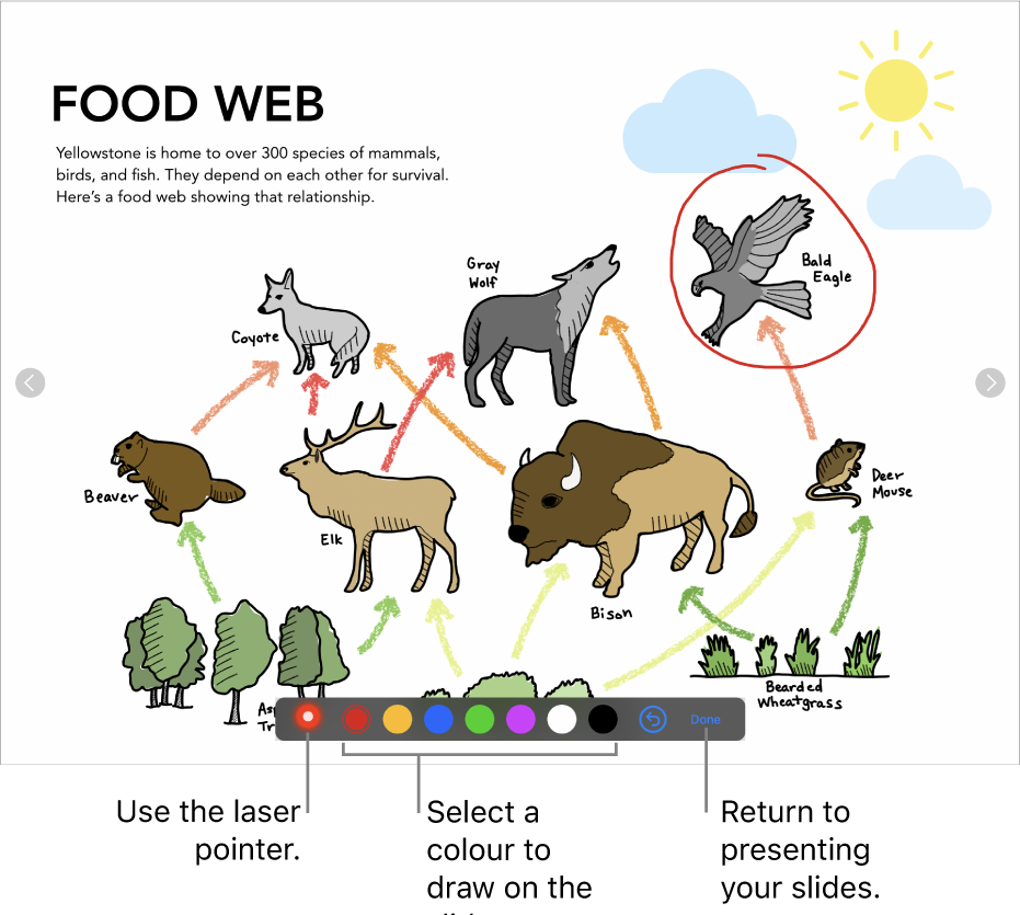 A slide in slide illustration mode showing the laser pointer and colour selection controls.