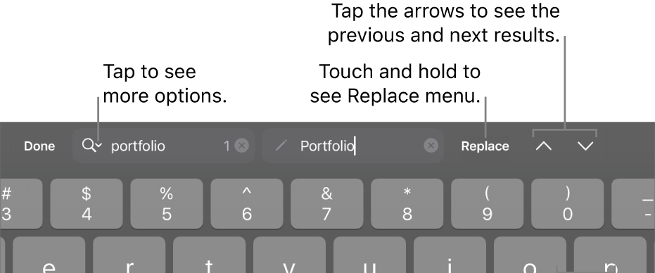 The Find & Replace controls above the keyboard with callouts to the Search Options, Replace, Go Up and Go Down buttons.