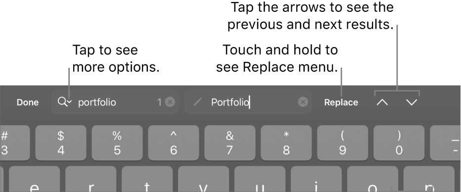 The Find & Replace controls above the keyboard with callouts to the Search Options, Replace, Go Up, and Go Down buttons.