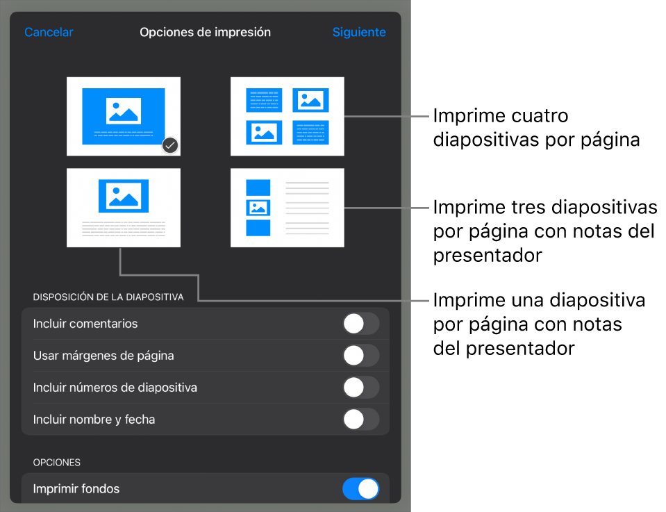 Opciones de disposición de impresión.