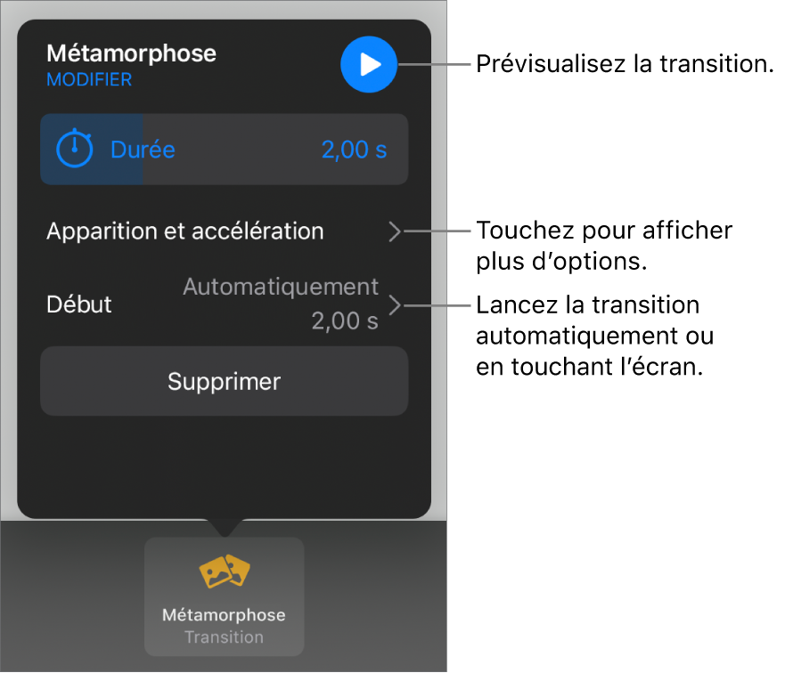 Commandes Métamorphose de la sous-fenêtre Transitions.