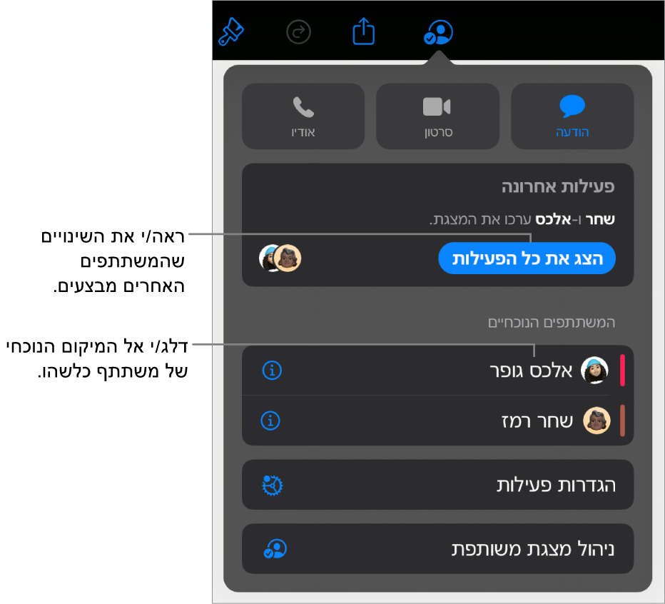 תפריט ״שיתוף פעולה״ שרואים בו משתתפים פעילים כעת.