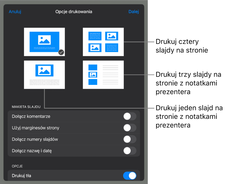 Opcje makiety wydruku.