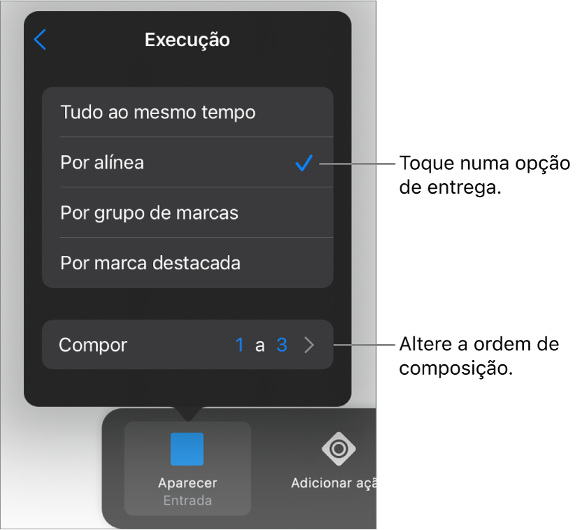 Opções de execução no painel “Entrada”.