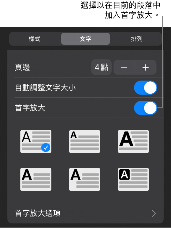 「首字放大」控制項目位於「文字」選單。