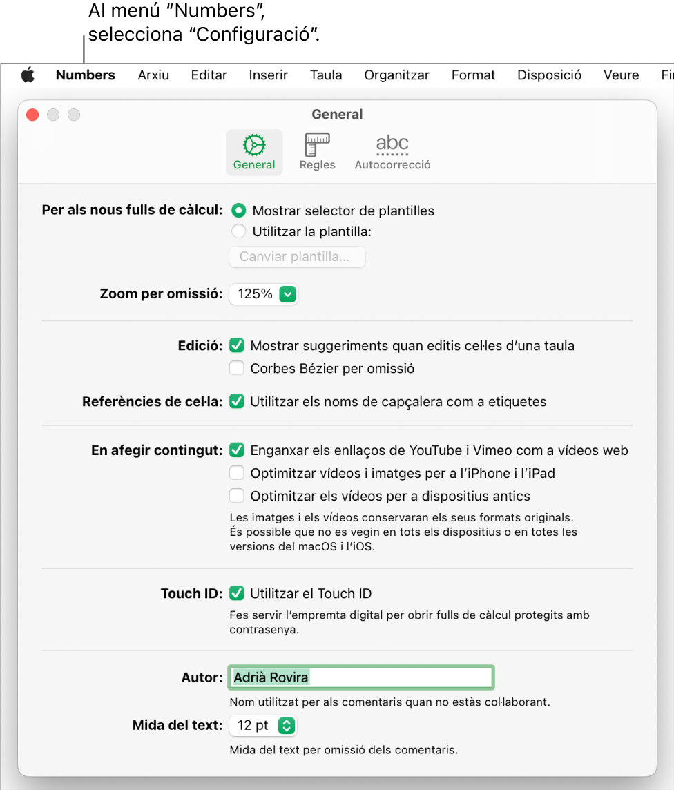 Finestra de la configuració del Numbers amb el tauler General obert en què es mostra la configuració per als fulls de càlcul nous, el zoom per omissió, l’edició, les referència de cel·la, les equacions, l’addició de contingut, el Touch ID, el nom de l’autor i la mida de text per omissió.