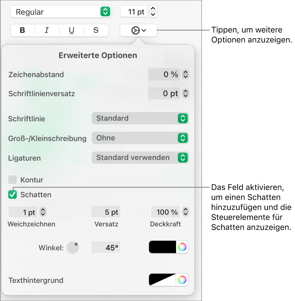 Das geöffnete Menü „Weitere Textoptionen“ mit der aktivierten Option „Schatten“ und Steuerelementen zum Konfigurieren von „Weichzeichnen“, „Versatz“, „Deckkraft“ und „Winkel“ sowie der Farbe.