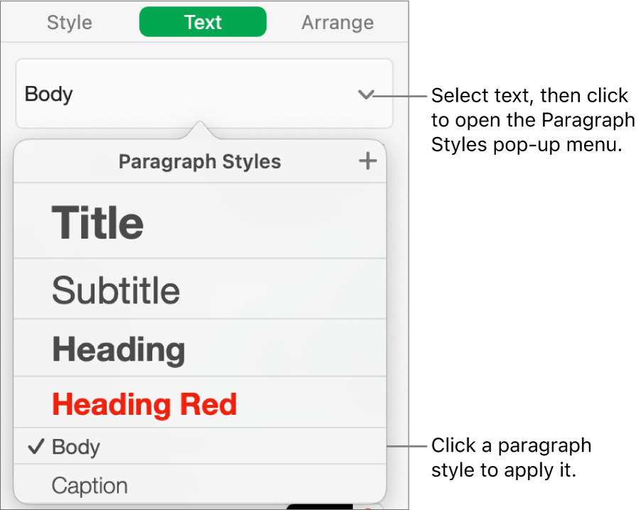 The Paragraph Styles menu.