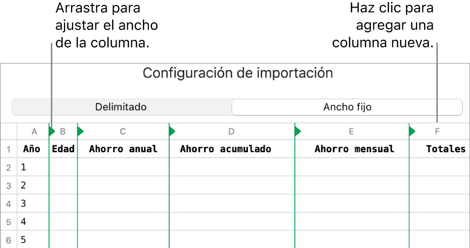 La configuración de importación de un archivo de texto de ancho fijo.