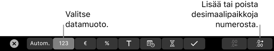 MacBook Pron Touch Bar, jossa on säätimet datamuodon valitsemiseen ja numeron desimaalipaikkojen lisäämiseen tai poistamiseen.