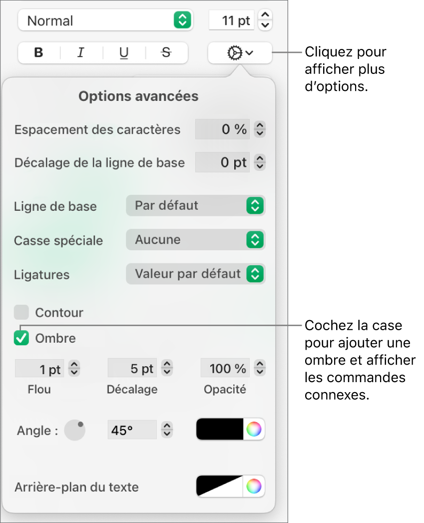 Le menu « Plus d’options de texte » s’ouvre avec la case Ombres sélectionnée et les commandes pour définir les réglages de flou, de décalage, d’opacité, d’angle et de couleur.