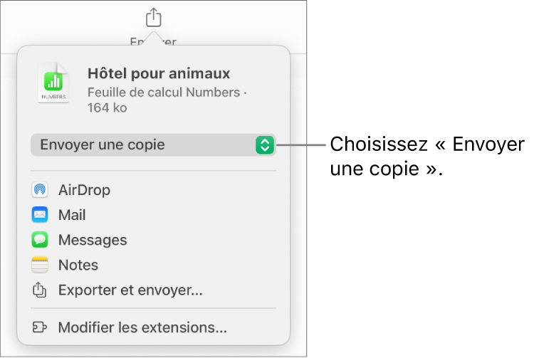 Le menu Partager avec l’option Envoyer une copie sélectionnée en haut.