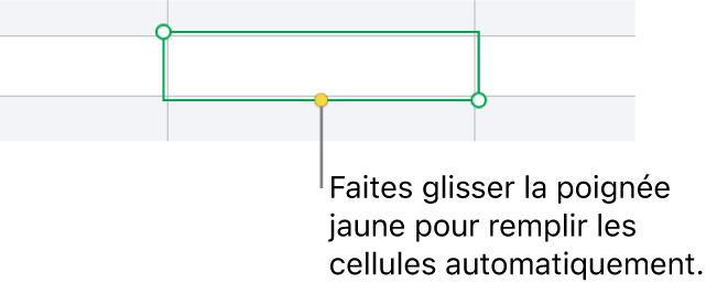 Une cellule sélectionnée avec une poignée jaune à faire glisser pour remplir automatiquement des cellules.