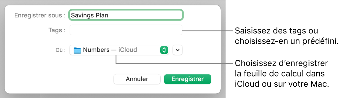 Zone de dialogue Enregistrer sous.