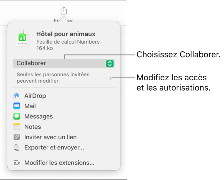 Le menu Partager avec l’option Collaborer sélectionnée en haut, et des réglages d’accès et d’autorisation en dessous.