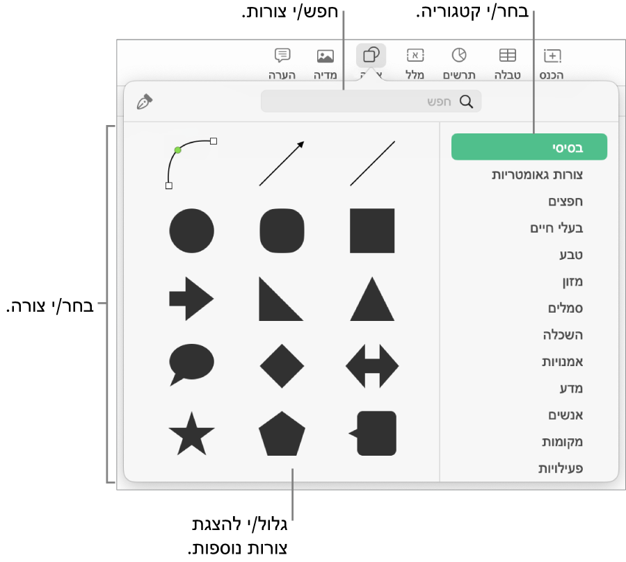 ספריית הצורות, כשקטגוריות מפורטות מצד שמאל וצורות מוצגות מצד ימין. ניתן להשתמש בשדה החיפוש בראש המסך כדי למצוא צורות ולגלול כדי להציג עוד.