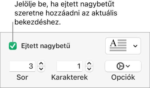 Az Ejtett nagybetű jelölőnégyzet be van jelölve, a négyzet jobb oldalán egy előugró menü látható, a menü alatt pedig a sorok magasságának, a karakterek számának és az egyéb lehetőségeknek beállítására szolgáló vezérlők jelennek meg.