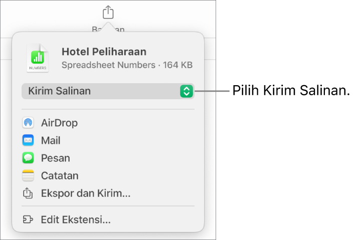 Menu Bagikan dengan Kirim Salinan dipilih di bagian atas.