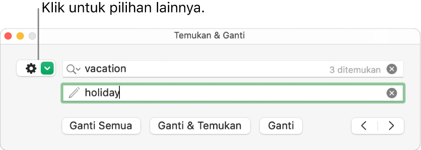 Jendela Temukan & Ganti dengan keterangan pada tombol untuk menampilkan pilihan lainnya.