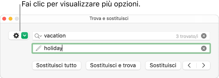 Finestra “Trova e sostituisci” con una didascalia per il pulsante che consente di visualizzare più opzioni.