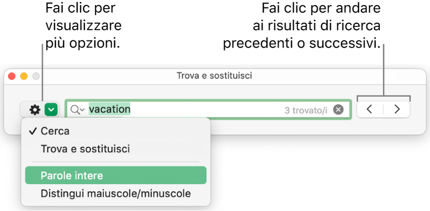 La finestra “Trova e sostituisci” con il menu a comparsa mostrante le opzioni per Trova, “Trova e sostituisci”, “Parole intere” e “Maiuscole/minuscole”. Le frecce a destra consentono di passare ai risultati di ricerca successivi o precedenti.